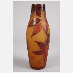 D´Argental Ätzglasvase Wilder Wein