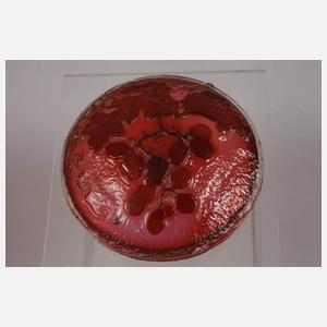 Émile Gallé fünf Ätzglasdeckel für Dosen