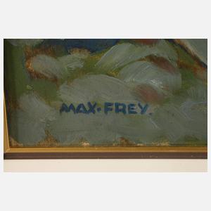 Prof. Max Frey, "Verfolgung"