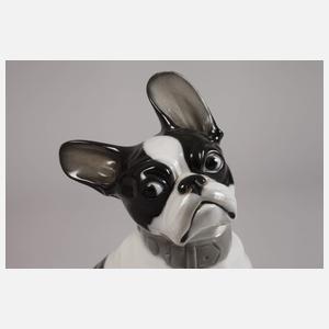 Heubach Lichte ”Französische Bulldogge”