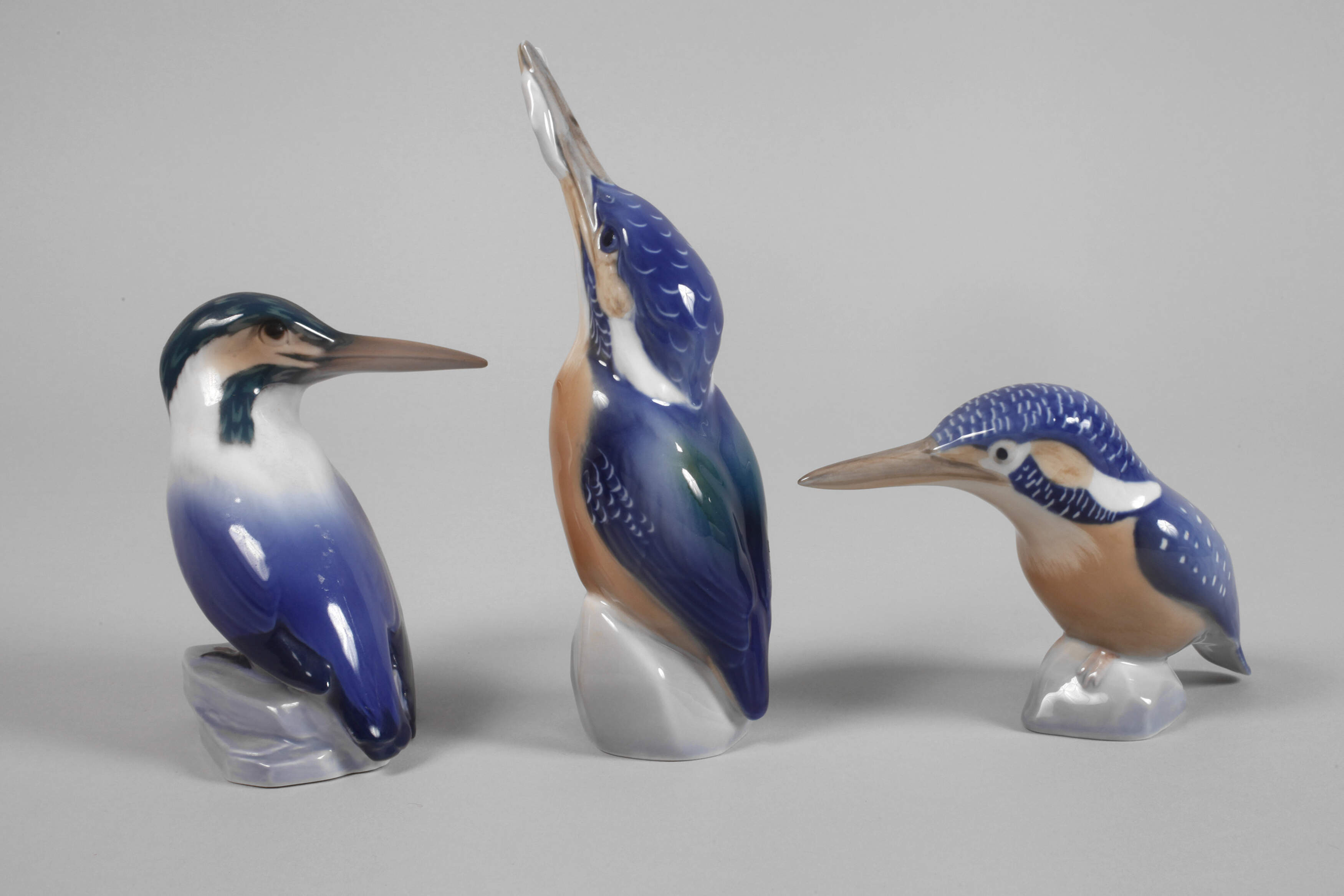 Kopenhagen Konvolut Eisvögel