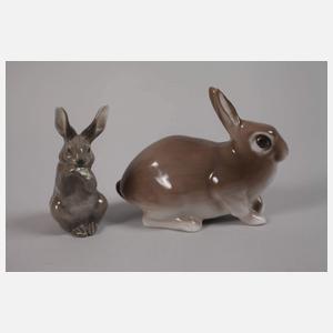 Kopenhagen Sammlung Hasen