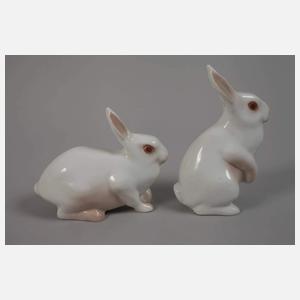 Kopenhagen Sammlung Hasen