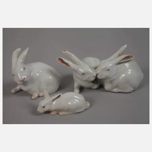 Kopenhagen Sammlung Hasen