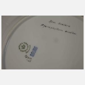 Kopenhagen 16 Fischteller im Fauna-Danica-Stil