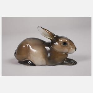 Rosenthal Hase