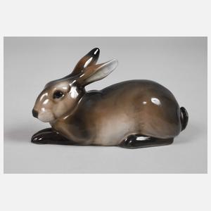 Rosenthal Hase