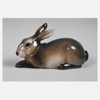 Rosenthal Hase111