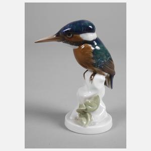 Rosenthal "Eisvogel"