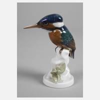 Rosenthal "Eisvogel"111