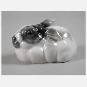 Rosenthal hockender Hase