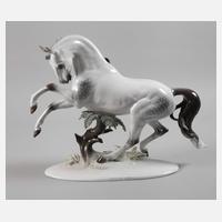 Rosenthal "Übermut"111