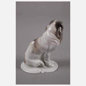 Rosenthal kleiner "King Charles Spaniel"