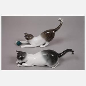 Thüringen zwei Katzen