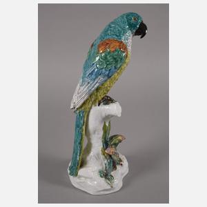 Thüringen Paar große Papageien