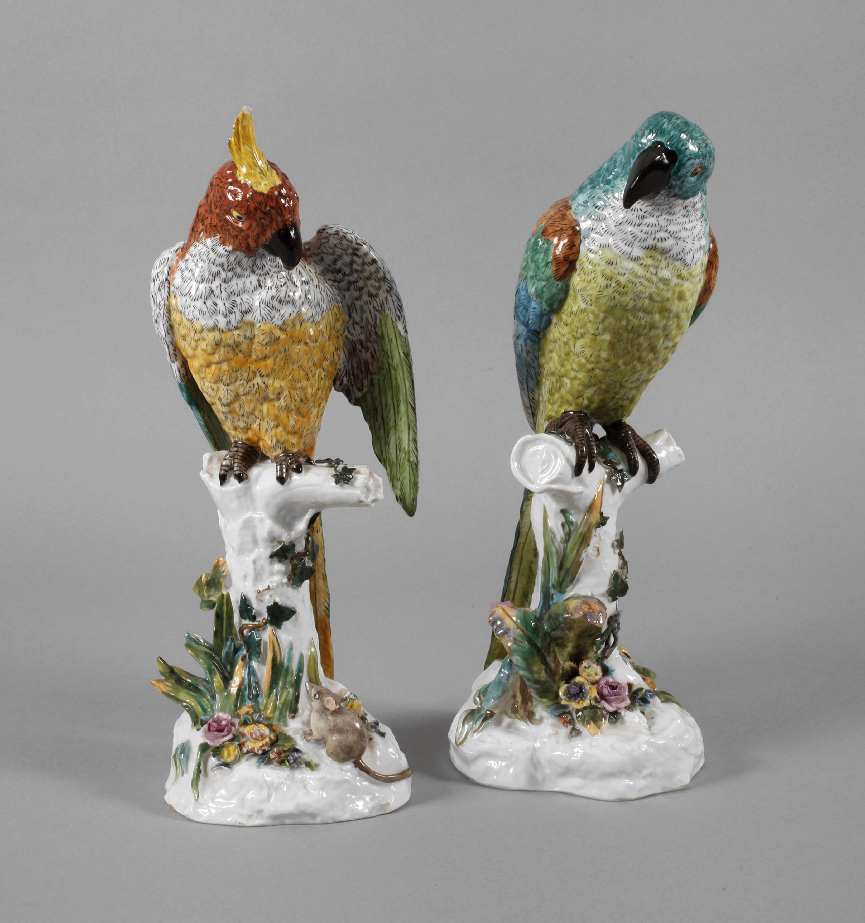 Thüringen Paar große Papageien