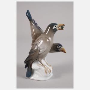 Volkstedt-Rudolstadt Rabenpaar