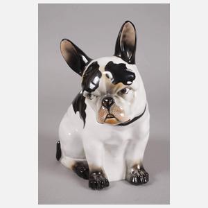 Galluba & Hofmann Ilmenau Französische Bulldogge