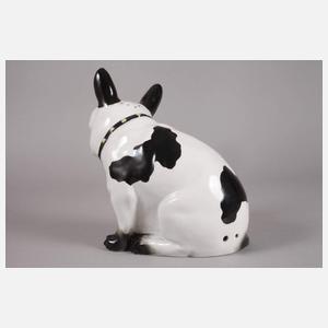 Galluba & Hofmann Ilmenau Französische Bulldogge