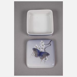 Kopenhagen Schale und Dose Schmetterlingsdekor