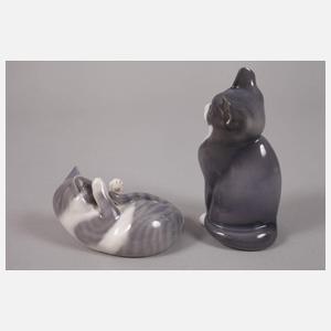 Kopenhagen zwei kleine Katzen