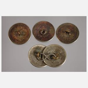 14 Knöpfe aus Adelsbesitz