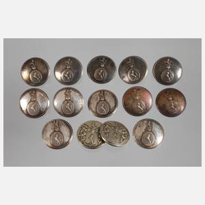 14 Knöpfe aus Adelsbesitz