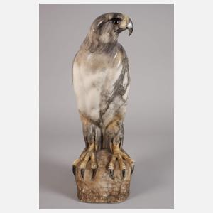 Großer ausschauender Falke