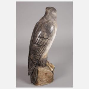 Großer ausschauender Falke