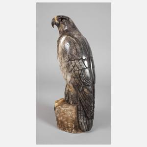 Großer ausschauender Falke