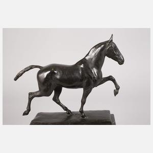 Karl Heynen-Dumont, Gangpferd