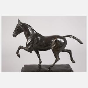 Karl Heynen-Dumont, Gangpferd