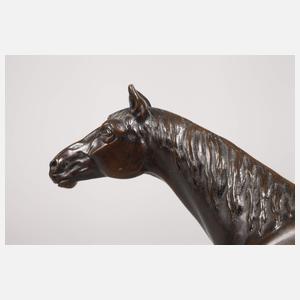 Otto Rasmussen attr., Vollbluthengst