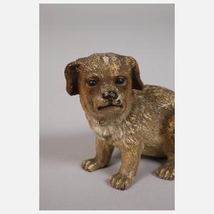 Wiener Bronze Welpe