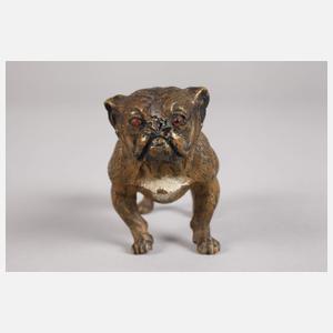 Wiener Bronze Bulldogge
