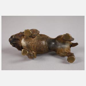 Wiener Bronze Bulldogge