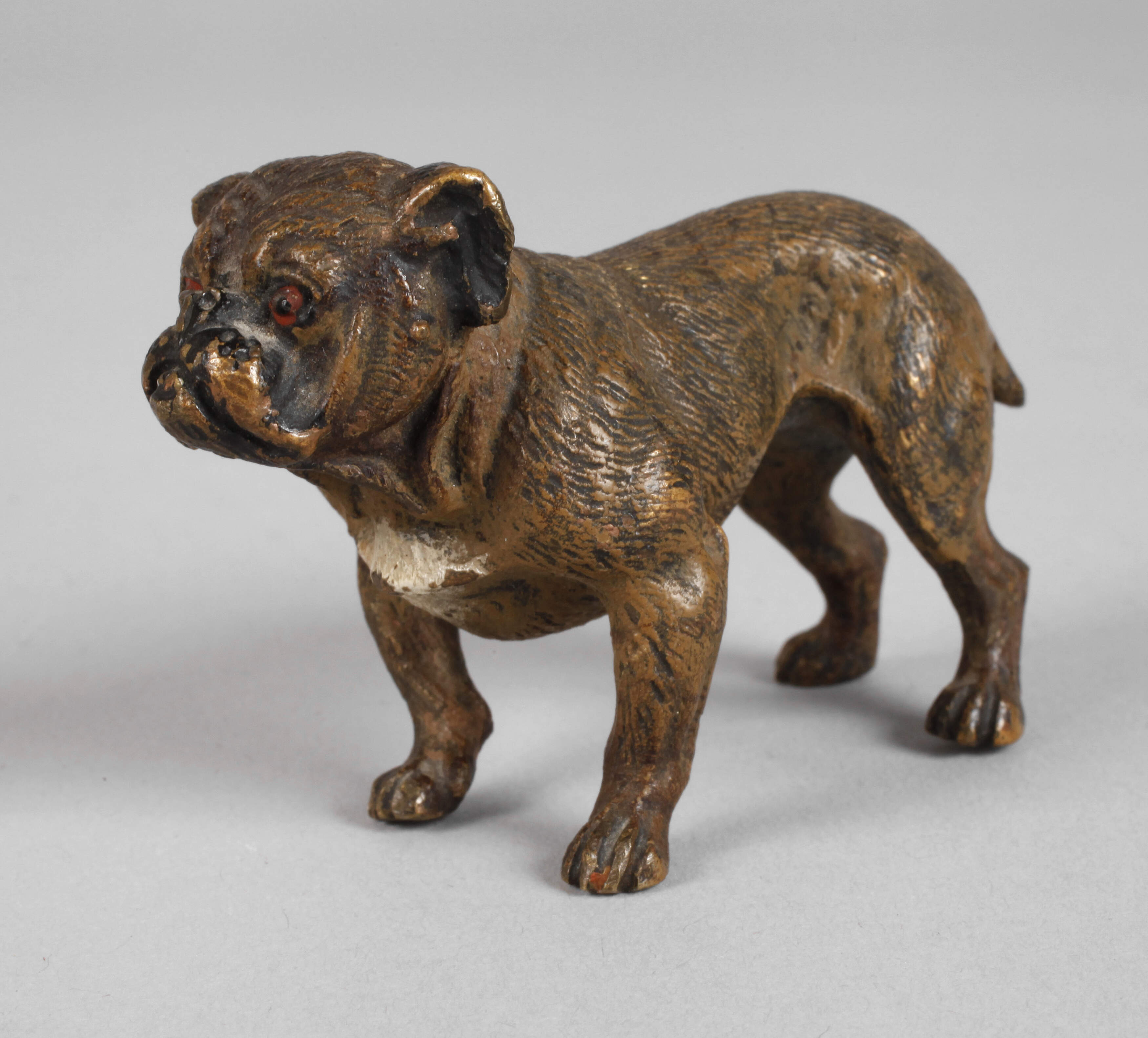 Wiener Bronze Bulldogge