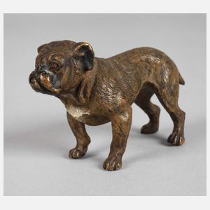 Wiener Bronze Bulldogge