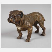 Wiener Bronze Bulldogge111
