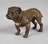 Wiener Bronze Bulldogge