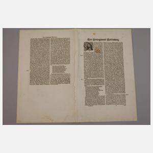 Johann Lauremberg, Karte Herzogtum Mecklenburg