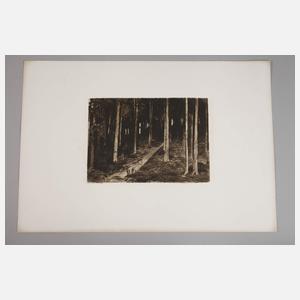 Theodor Hagen, Waldinneres