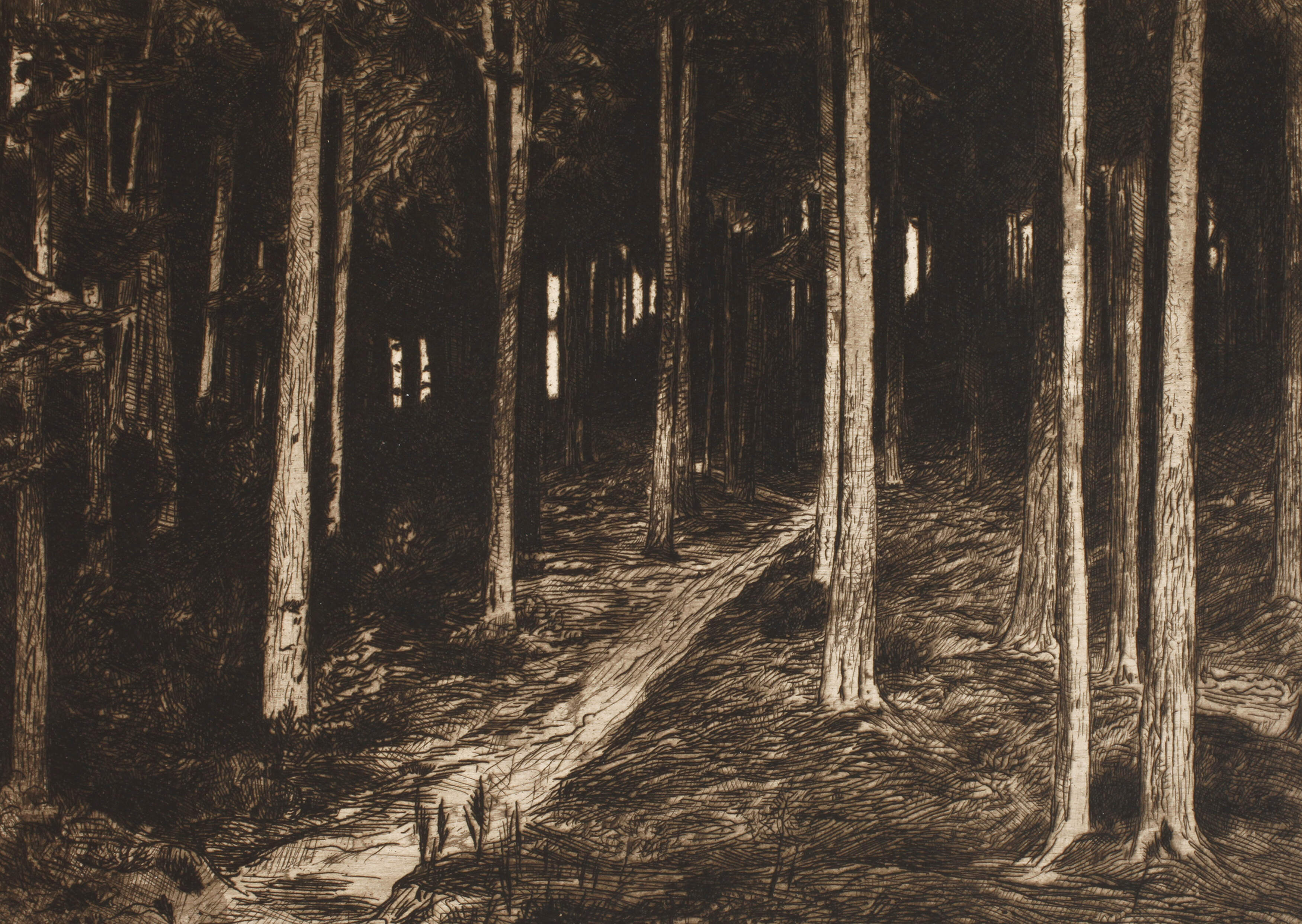 Theodor Hagen, Waldinneres