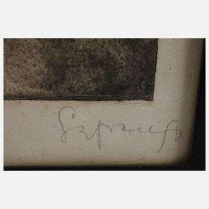 Sepp Frank, "Salome"