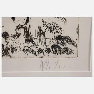 Prof. Max Weiler, "Bienendämon"