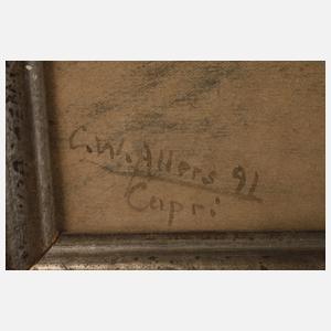 Christian Wilhelm Allers, "An der Piccola Marina"