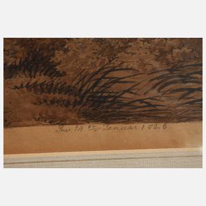 Landschaft nach Molitor