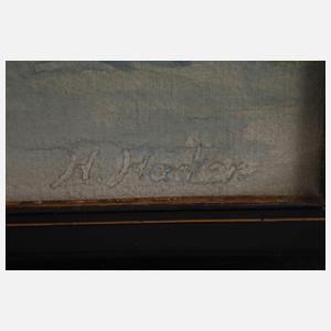 H. Hacker, Mohnblumen