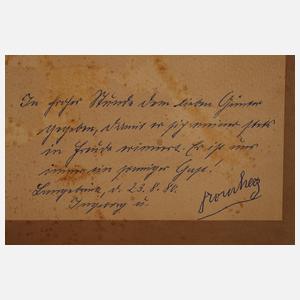 H. Hacker, Mohnblumen