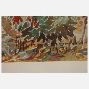 Albert Hunnemann, Blick auf eine Moschee